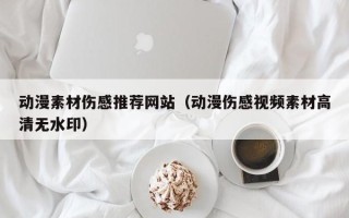 海北动漫素材伤感推荐网站（动漫伤感视频素材高清无水印）